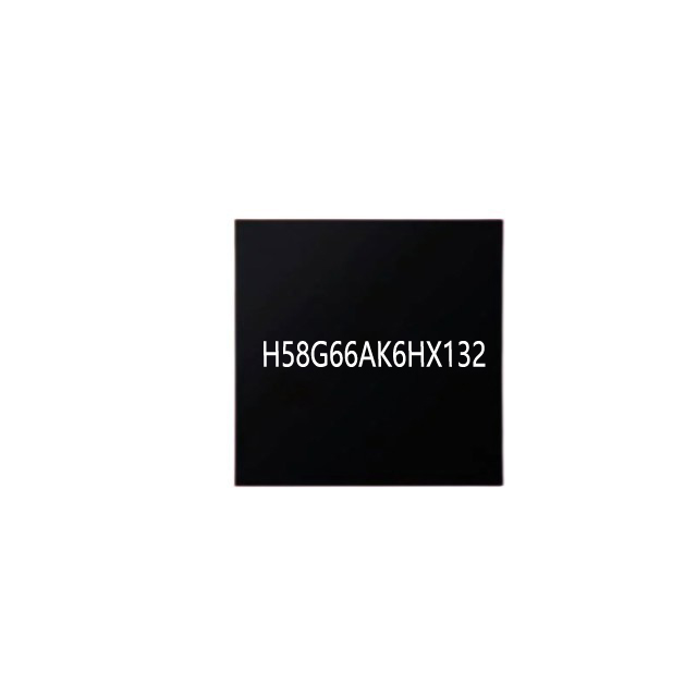 H58G66AK6HX132