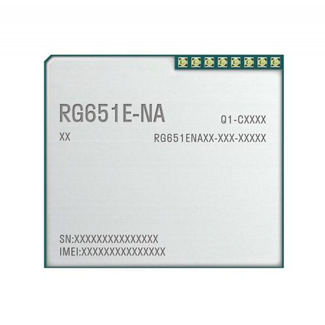 RG651ENA00AA-2G8-SGASA